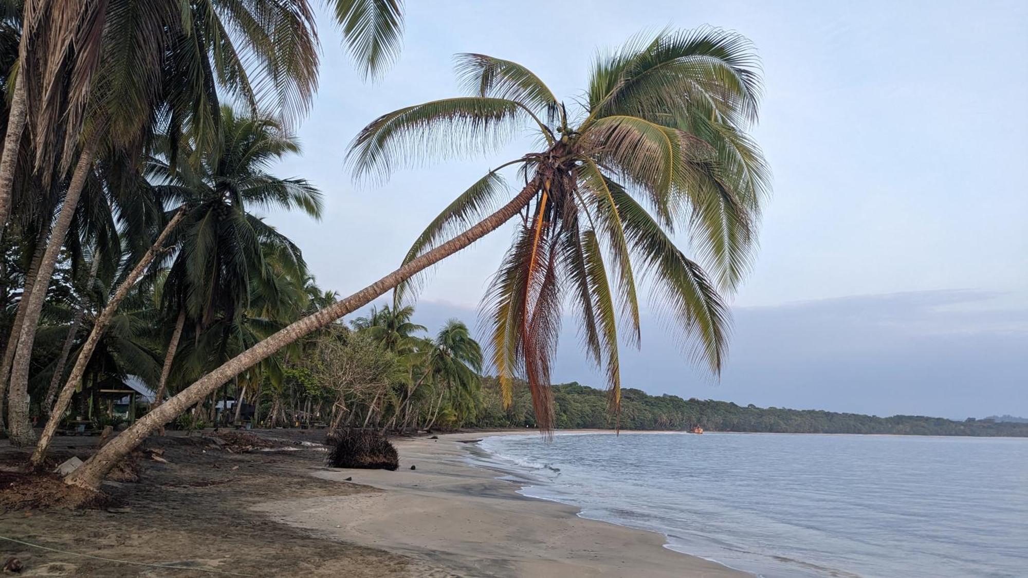 Casas Del Mar Villa Manzanillo  Dış mekan fotoğraf